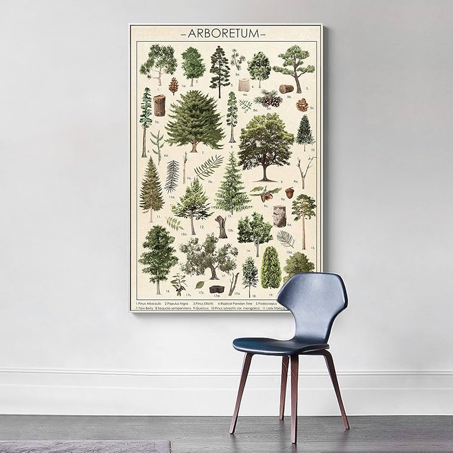 Amazon.co.jp: 123 Life ヴィンテージポスター ツリー ウォール